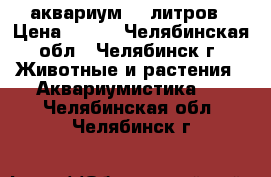 аквариум 40 литров › Цена ­ 800 - Челябинская обл., Челябинск г. Животные и растения » Аквариумистика   . Челябинская обл.,Челябинск г.